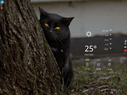 Xfce ARCH ( Xfce 4 - xfce4-panel + tint2 + conky)